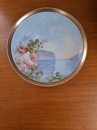 Haviland limoges hand painted - limoges,