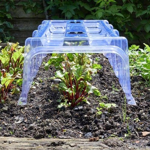 Smart garden clear cloche - garden,