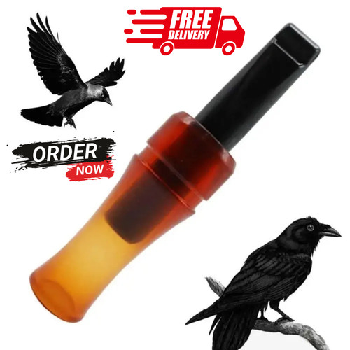 Crow rook call - rook,