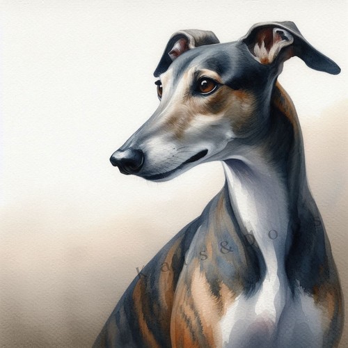 Greyhound watercolour art - greyhound,
