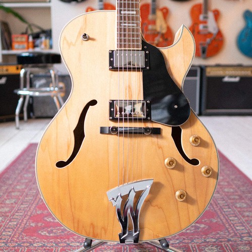 Washburn hollowbody - j3,