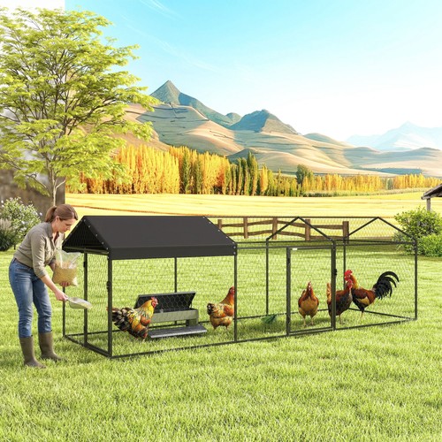 Outdoor large metal chicken - large,