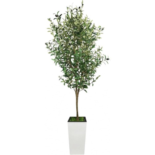 Artificial olive tree with - artificial,
