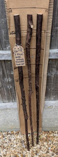 Blackthorn walking sticks - blackthorn,