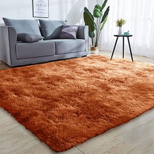 Fluffy Rugs Anti-Slip Large Shaggy Rug Super Soft Mat Living Room Bedroom Carpet