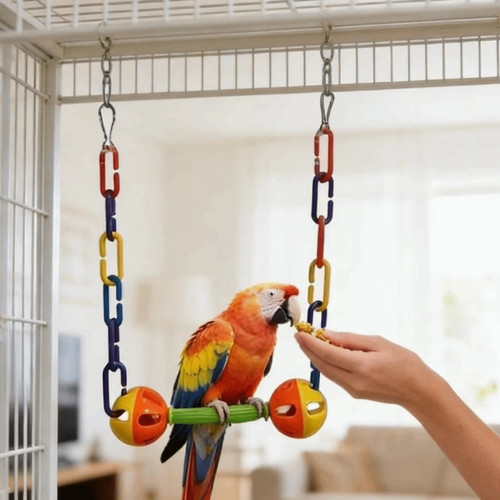 Parrot parakeet budgie - parrot,