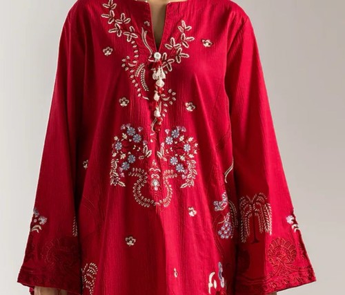 Ethnic dress embroidered - ethnic,