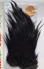 Fly tying cock cape top