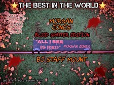 MORGAN'S BO STAFF WALL MOUNT