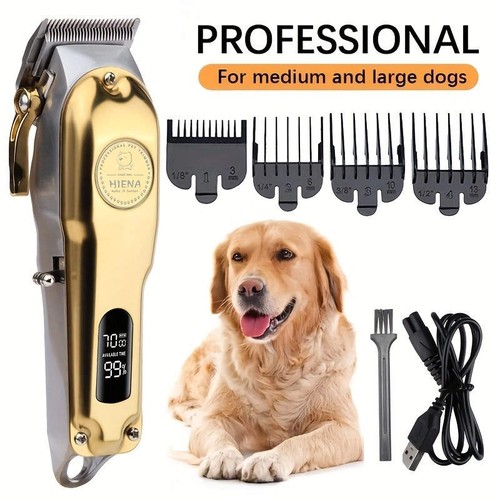 Hiena pet dog cats - hiena,