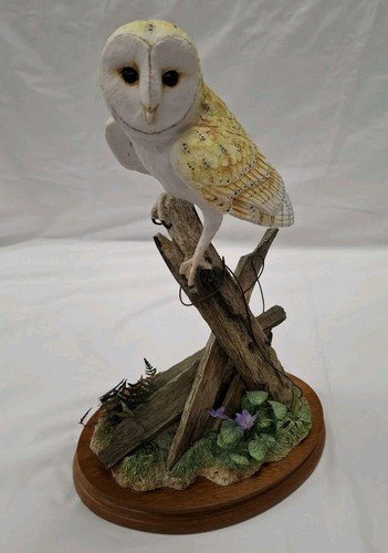 Border fine arts - arts,, look