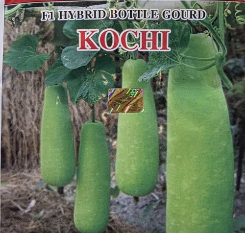 Bottle gourd seeds tai kochi - seeds,