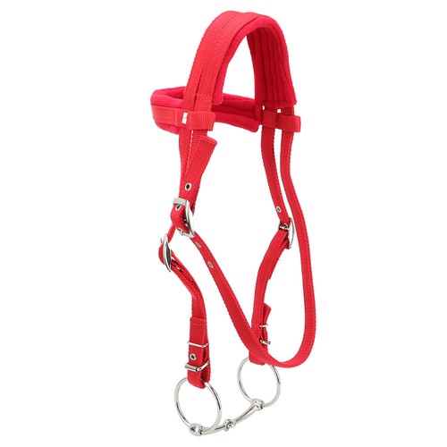 Horse harness adjustable - horse,