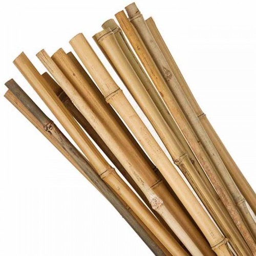 3ft 7ft bamboo wooden plant - bamboo,