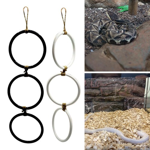 Snake climbing enrichment - snake,