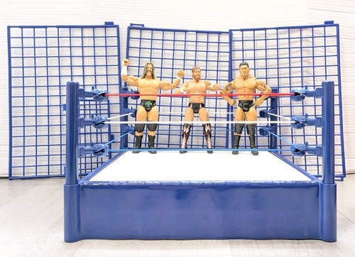Wwe 2010 hall - hall, of