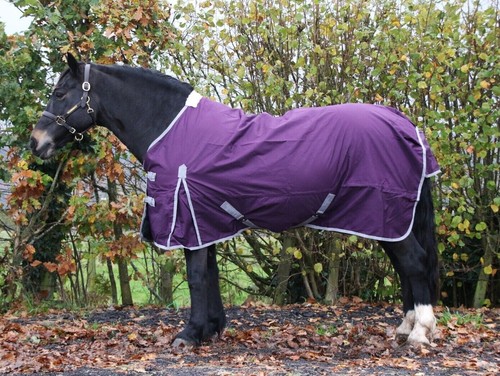 Fill lightweight horse rug - fill,