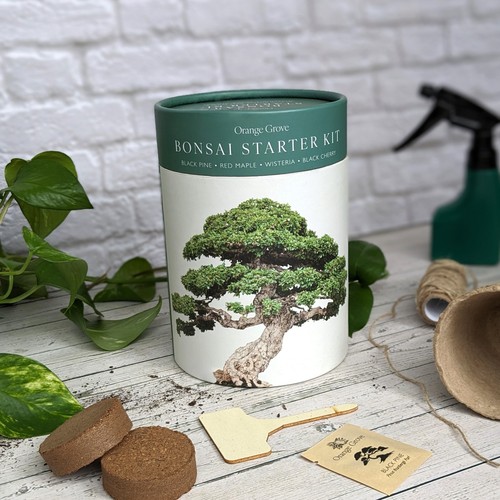 Bonsai starter kit grow - kit, your