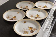 5x Alfred Meakin Autumn Glory