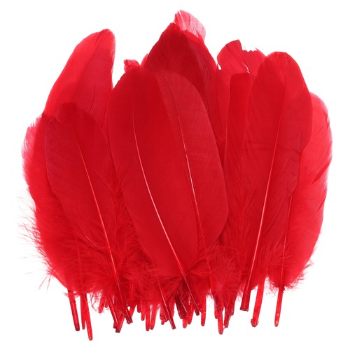 100 pcs feathers long diy - pcs,