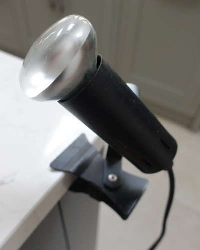 Vintage osram wotan clamp - vintage,
