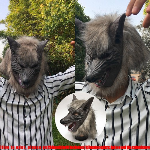 Adults werewolf wolf grey - adults,