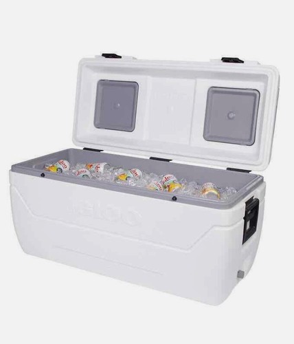 Igloo maxcold large 165 quart - maxcold,