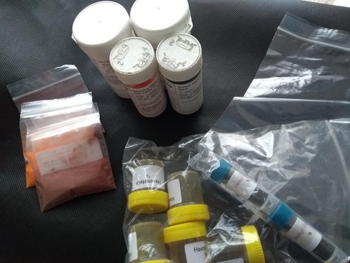 Dry powder dyes for histology - powder,