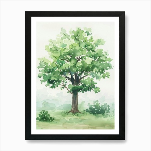 Paulownia tree atmospheric - paulownia,