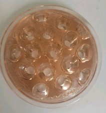 Vintage Pink Depression Glass
