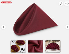 Dinner Cloth Napkins Poly