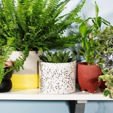 Indoor House Plant Pot Sass & Belle Terrazzo Planter Large