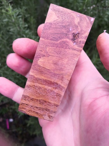 Stabilized apple root - stabilized,
