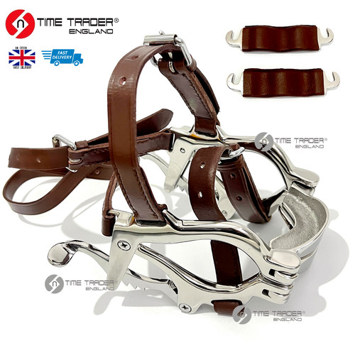 Pony equine dental horse - pony,
