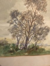 a vintage beech framed