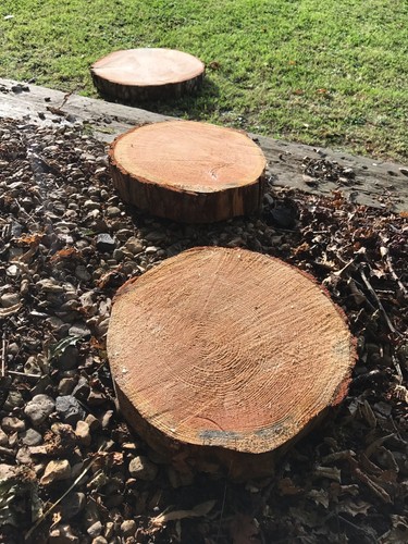 Large wooden log - large, 18"