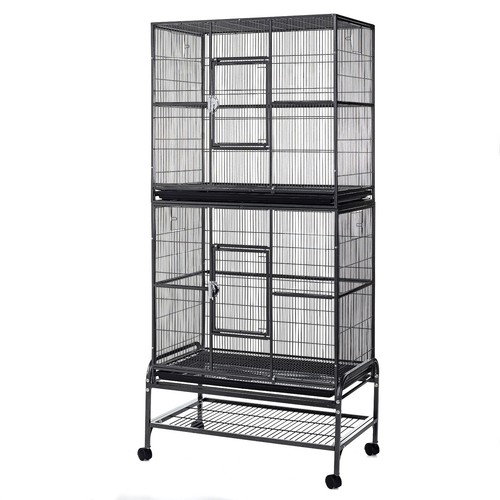 Rat ferret bird - ferret, cage