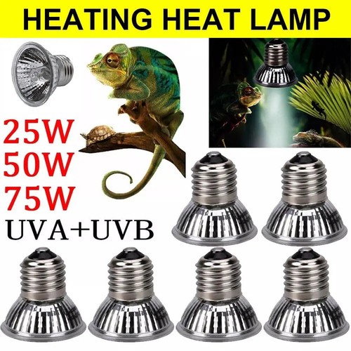 75w uva uvb reptile lamp - reptile,