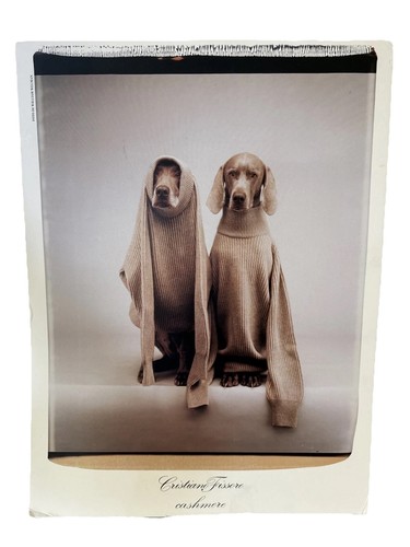 William wegman christian - william,