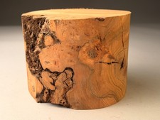 Burr Elm Wood Turning Bowl