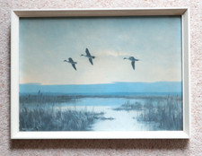 Sir Peter Scott Vintage Framed Print Three Pintails 1952 Old Picture Bird 14x10"