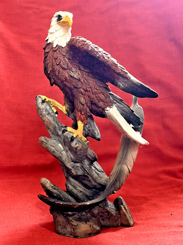 Beautiful vintage bald eagle - bald,