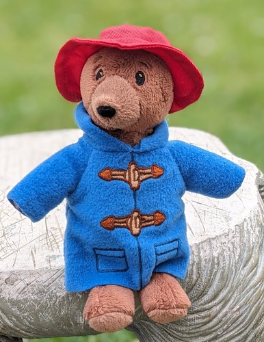 Paddington bear soft - plush, toy