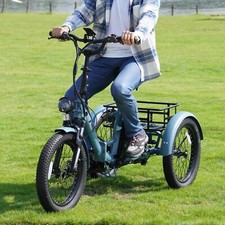 FAFREES F20 MATE 20in Electric