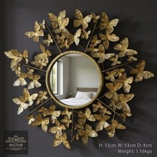 Beautiful Ornate Butterfly