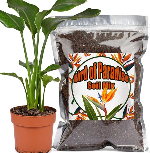 Organic bird paradise - organic,