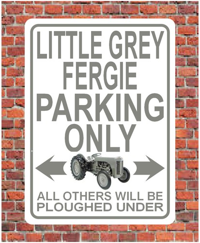 Little grey fergie - little, parking