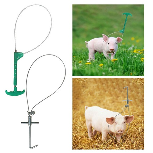 Pig holder catcher tool - holder,