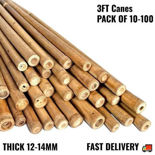 3ft bamboo canes thick - thick, garden