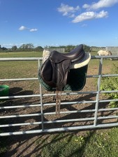 17"  Jump Saddle - Devoucoux Chiberta - Brown - Medium/ Narrow open to offers